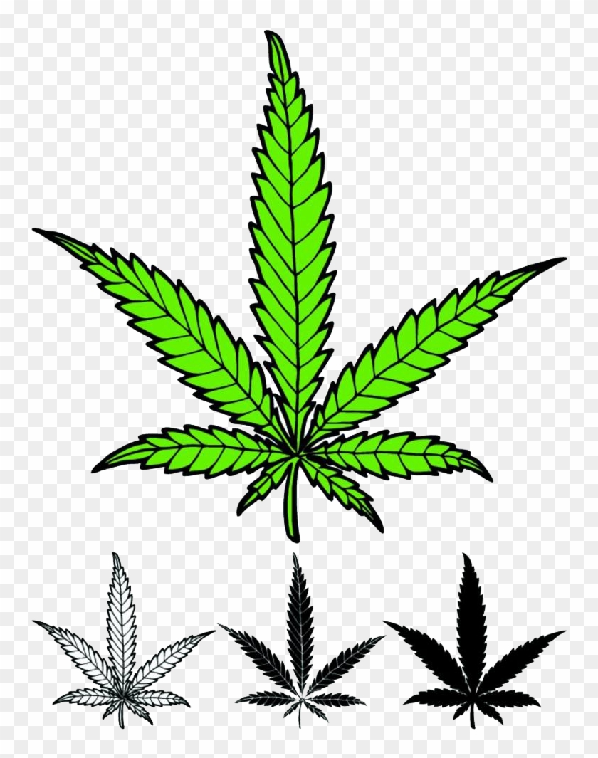 Drawings Of Weed Leaves - Vector Hemp Leaf Clipart