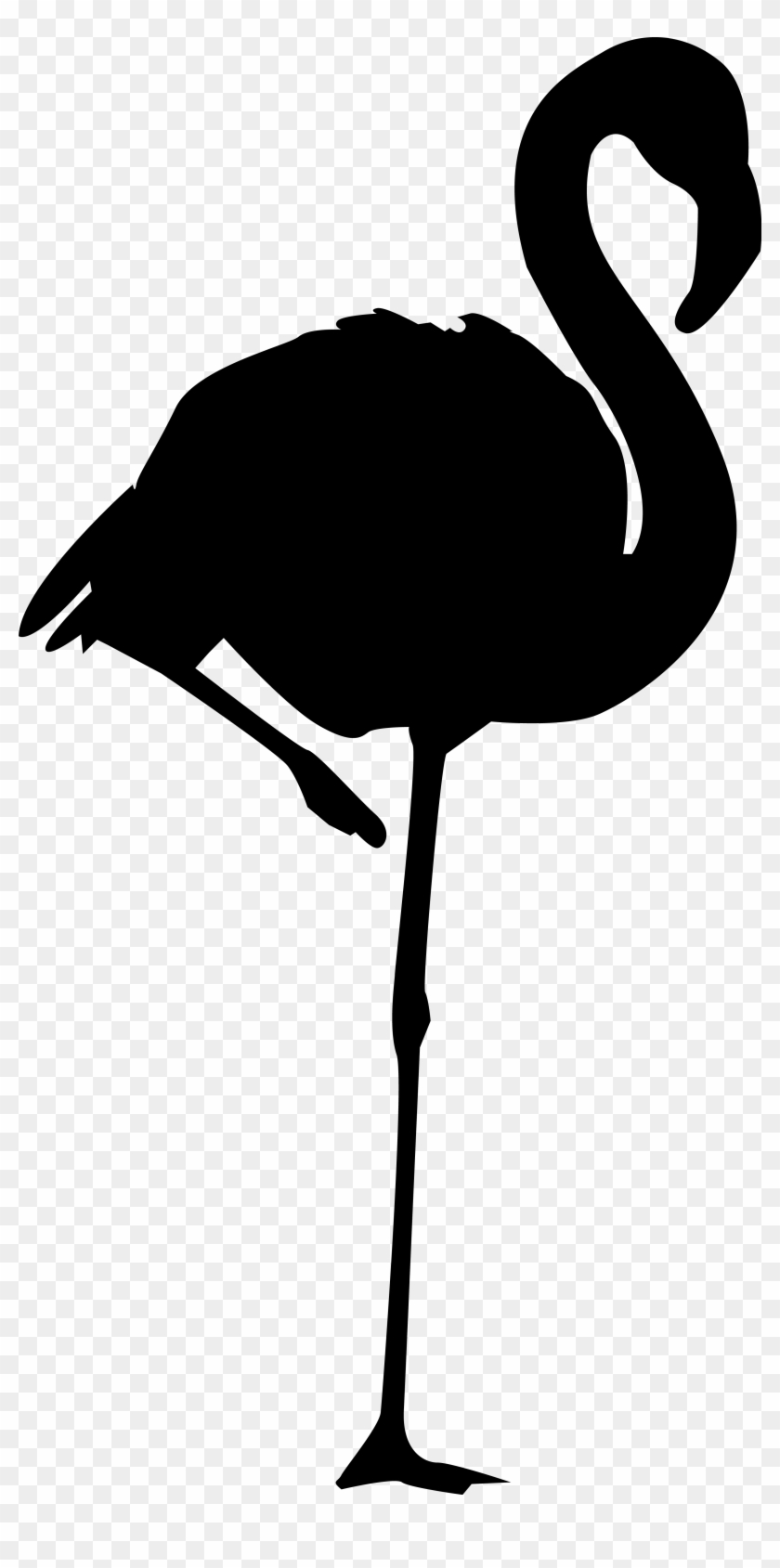3080 X 6048 6 - Flamingo Silhouette Clipart