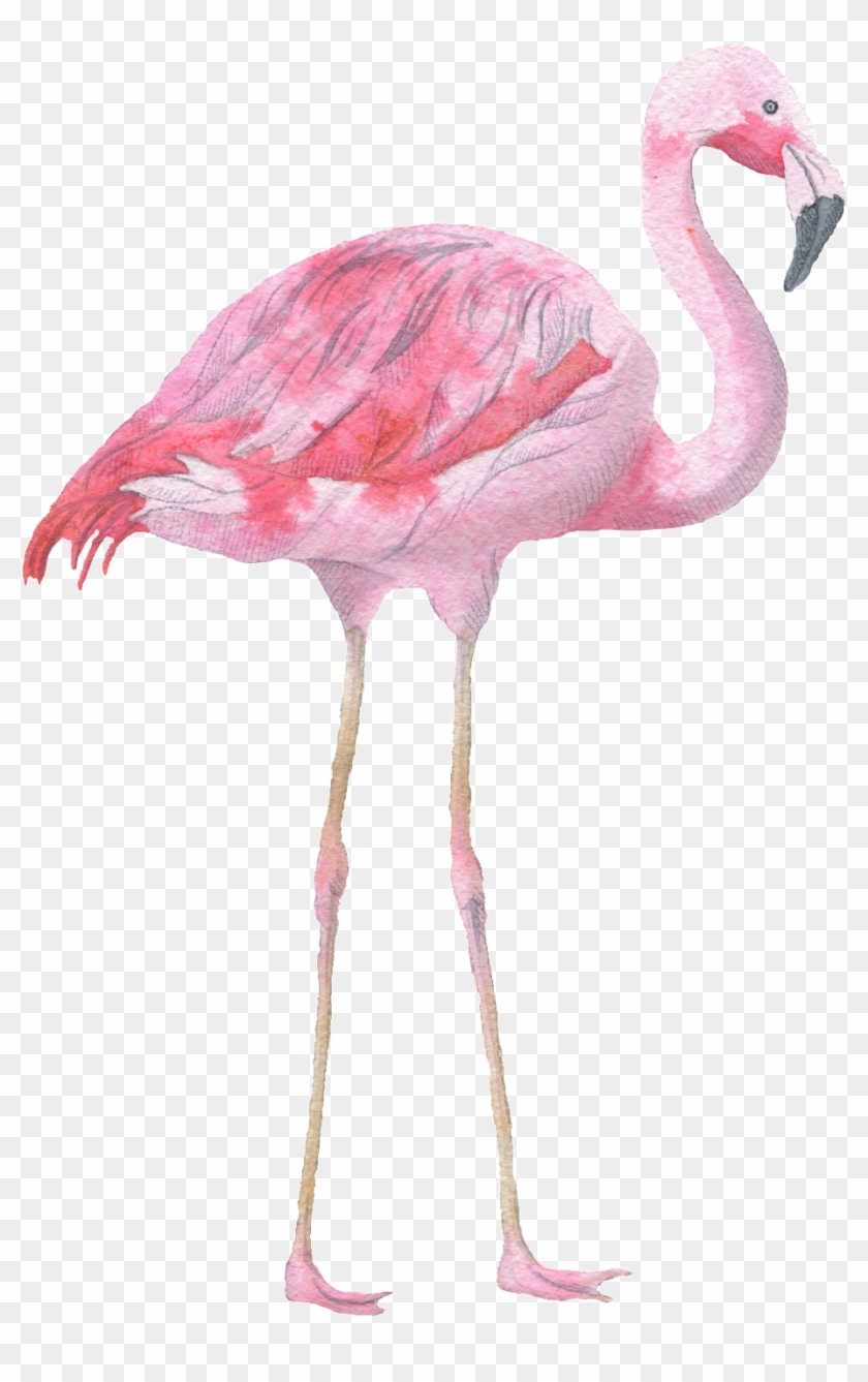 Pink Flamingo Watercolor Transparent Decorative Pattern - Stand Tall Flamingo Quote Clipart #529416