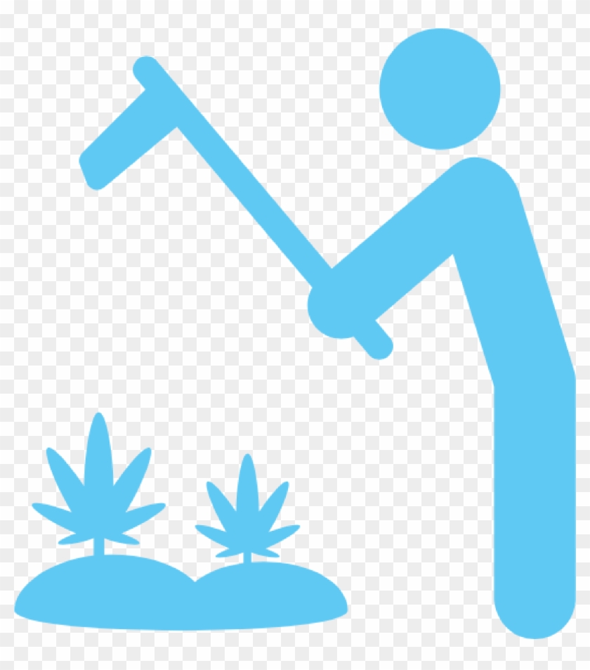 Land And Agriculture - Tree Plantation Clipart Black And White - Png Download #5200054