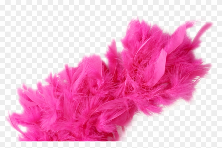 Comments - Pink Boa Feathers Png Clipart