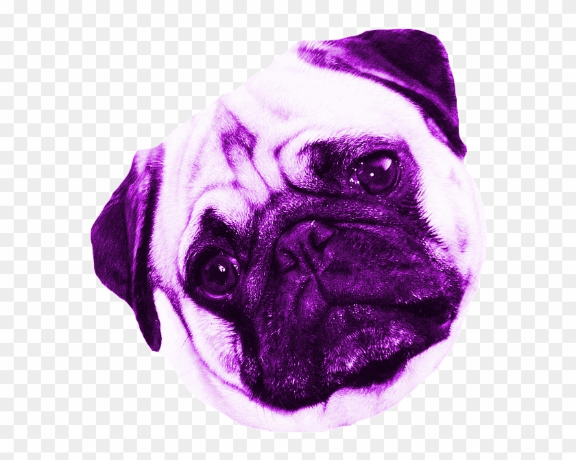 Console - Raça De Cachorro Pug Clipart #5202121