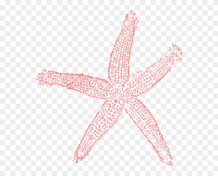 Coral Starfish Clipart - Png Download #5202203