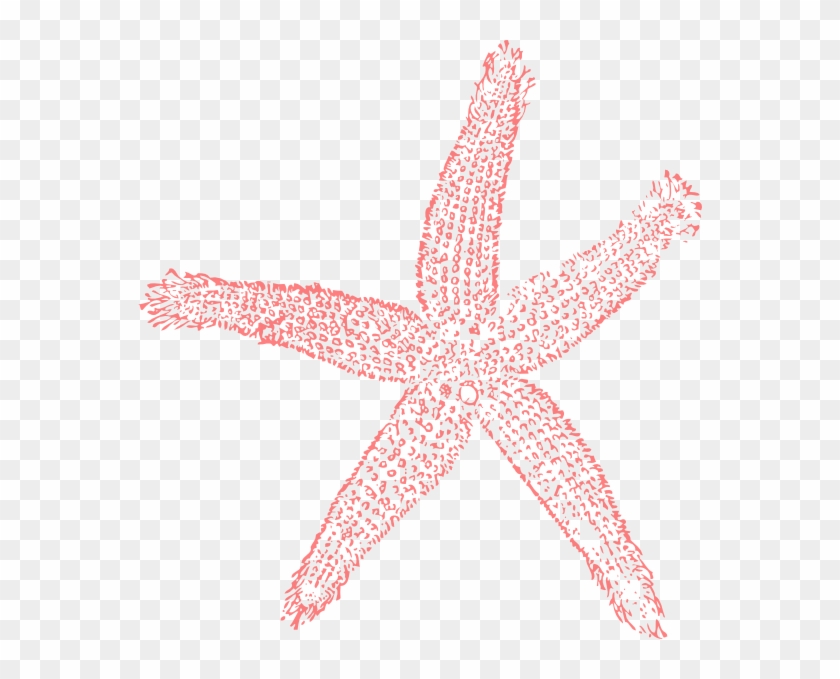 Coral Starfish Clipart - Png Download