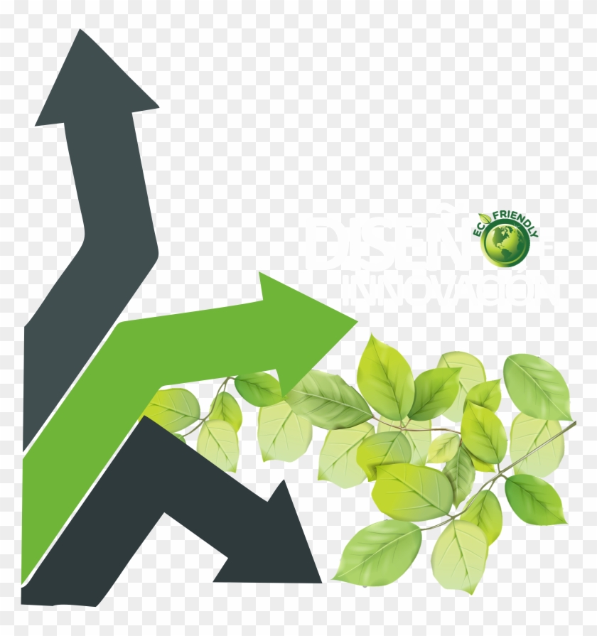 En Nuestra Tienda Ambiental Soga, Hemos Decidido Crecer - Leaves Png Transparent Background Clipart