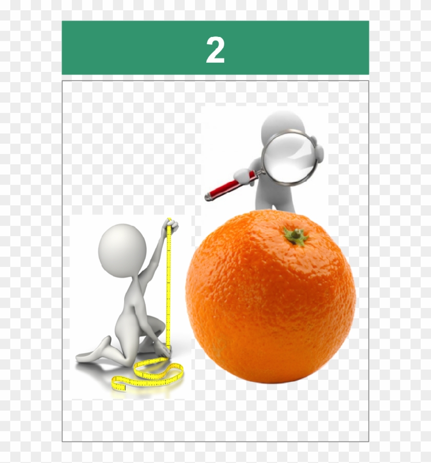 2-600x822 - Blood Orange Clipart #5203954