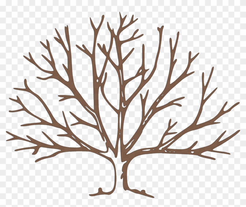 Null - Draw A Winter Tree Clipart