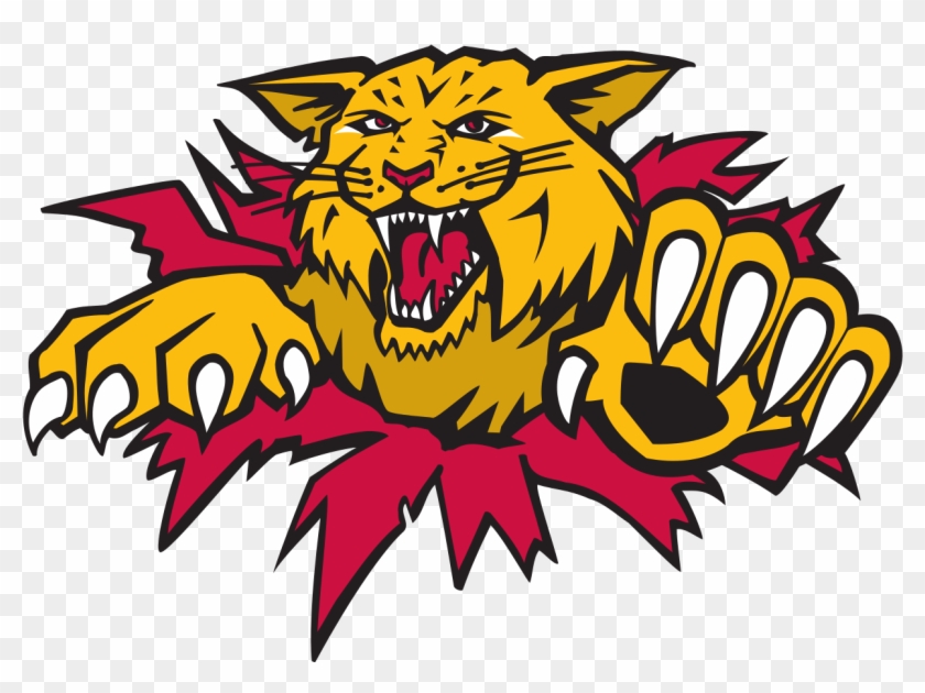 Download - Moncton Wildcats Clipart #5207183