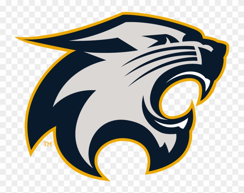 The River Falls Wildcats - River Falls High School Logo Clipart #5207262