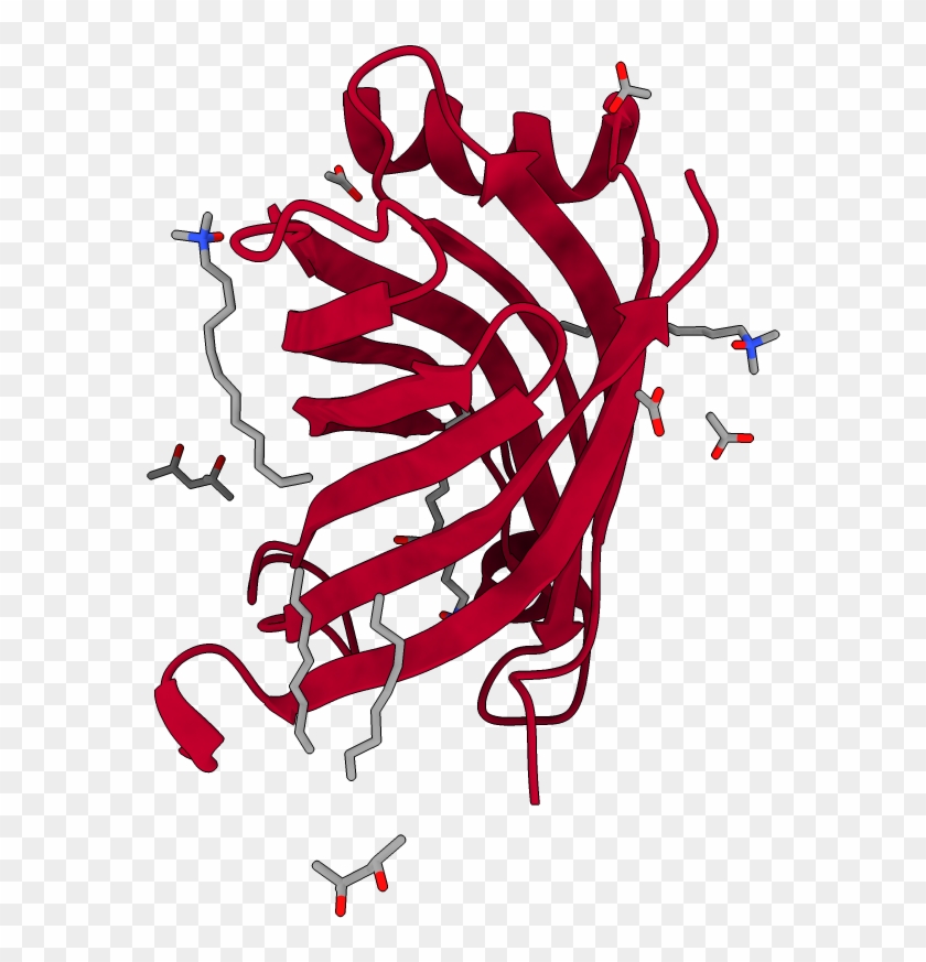 Asymmetric Unit - Illustration Clipart #5207663