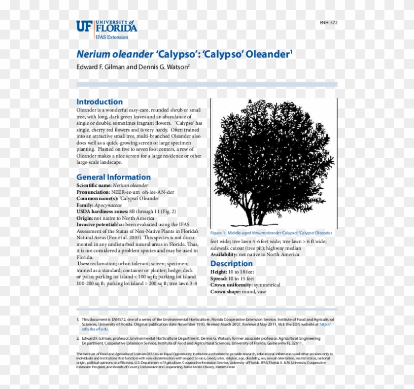 Pdf - University Of Florida Clipart