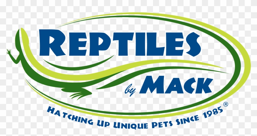 Reptiles By Mack Clipart