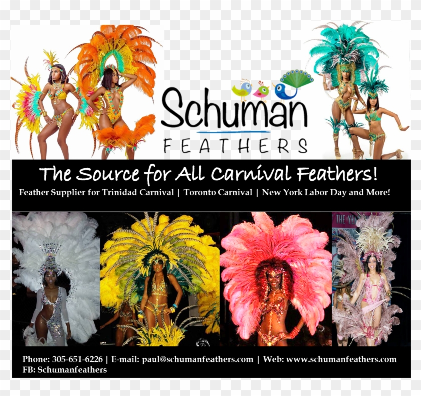 When We Are Talking Feathers, Careful Selection Must - Carnival Clipart #5211903