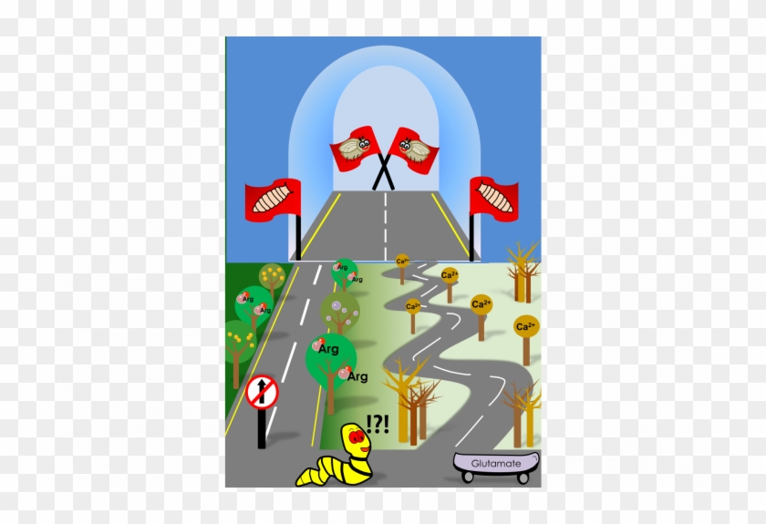 Surfing On Calcium Waves - Cartoon Clipart #5212044