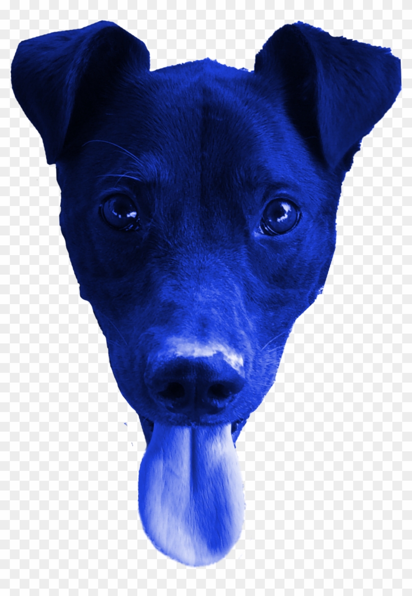 I Felt Like It Would Complement The Pink In The Tongue - Feist Clipart #5212903