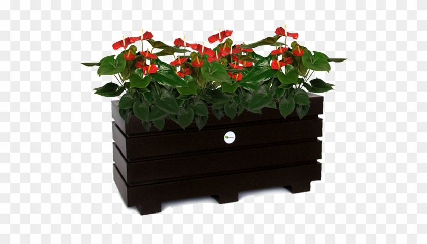 $99,900 - Flowerpot Clipart #5214266