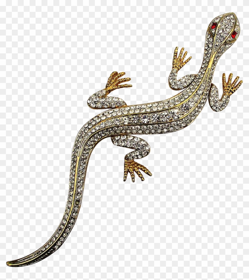 Transparent Gecko Super Blue - Whiptail Lizard Clipart