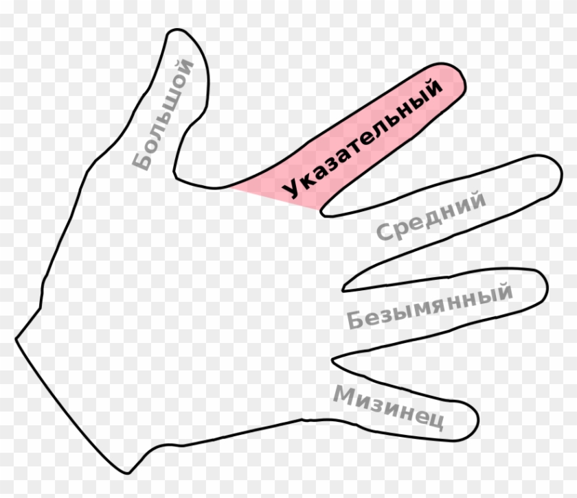 Hand Index Finger Ru - Drawing Clipart