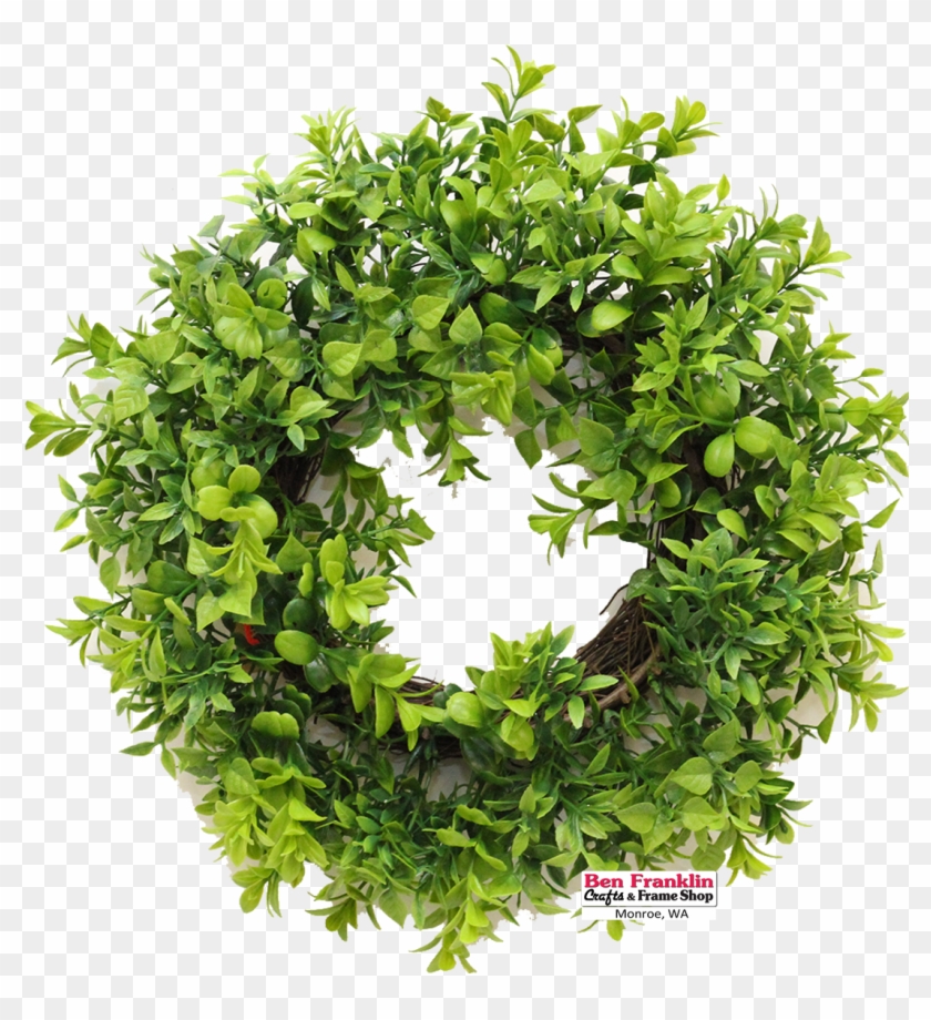 We Have Assorted Green Wreaths That Are Ready To Hang - Parsley Wega Clipart #5216491