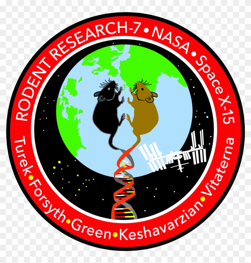 Rodent Research-7 Mission Patch - Rodent Research 6 Logo Clipart