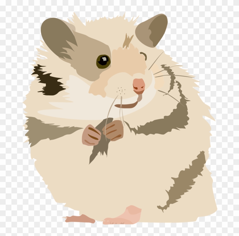 Gerbil Golden Hamster Rodent Mouse - Hamster Png Clipart Transparent Png #5218154