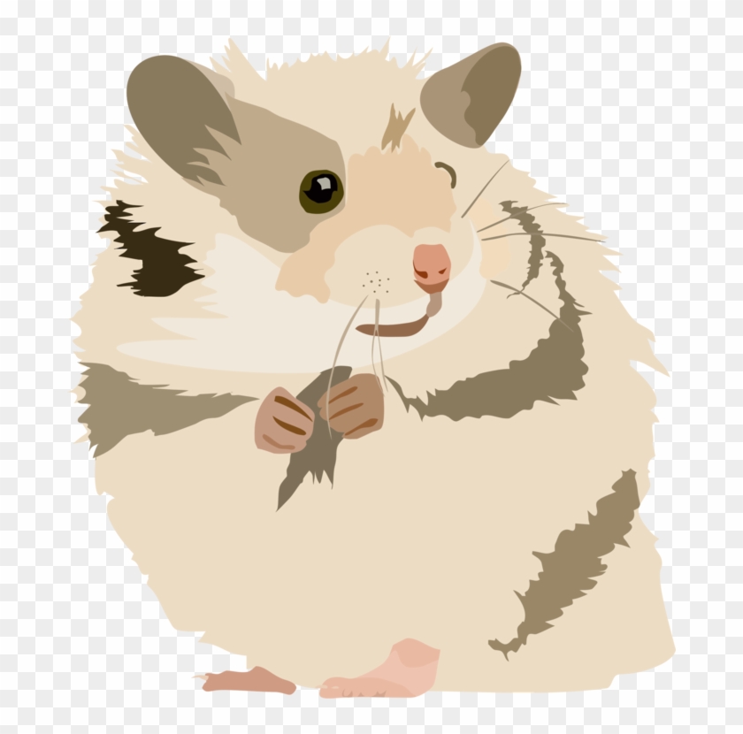 Gerbil Golden Hamster Rodent Mouse - Hamster Png Clipart Transparent Png #5218154