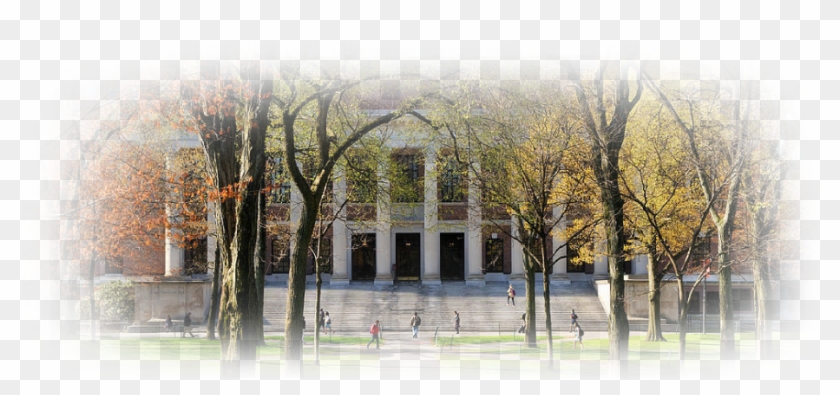 Pretzel Fillers® Salted Caramel Filled Pretzel Bites - Thimma Reddy College Davangere Clipart #5220012