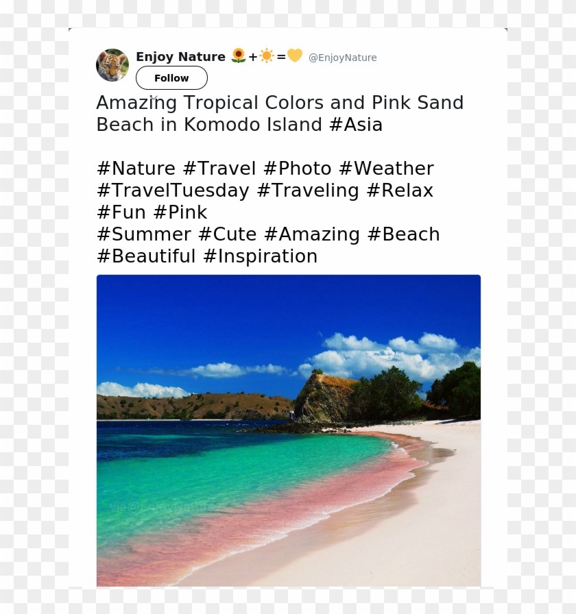 Amazing Tropical Colors And Pink Sand Beach In Komodo - Beach Ridge Clipart #5220051