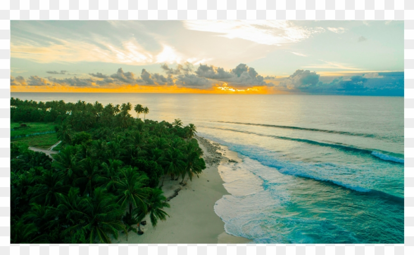 Score 50% - Photography Clipart