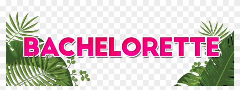 Tropical Beach - Houseplant Clipart