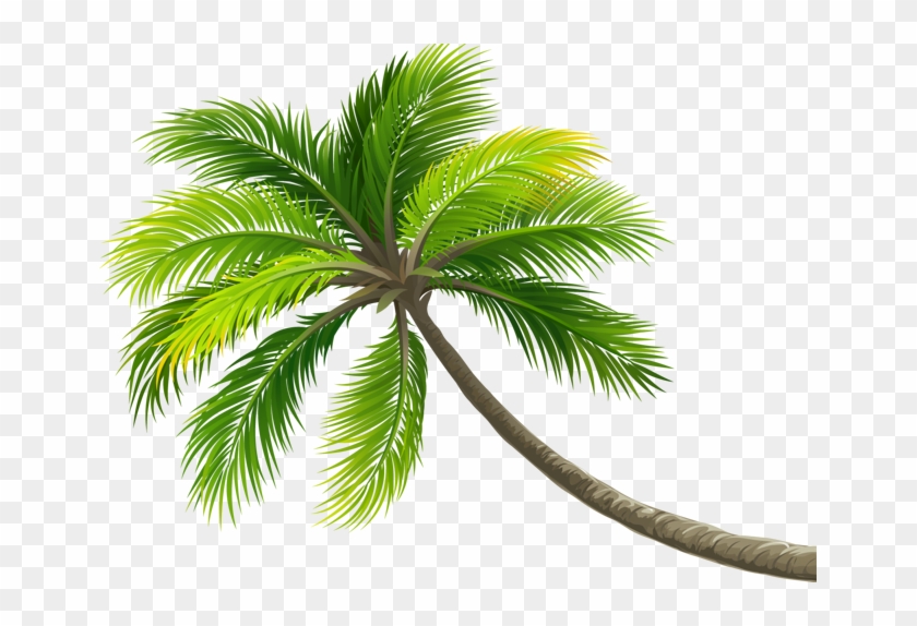 Palmtree Sticker - Summer Coconut Tree Clipart - Png Download