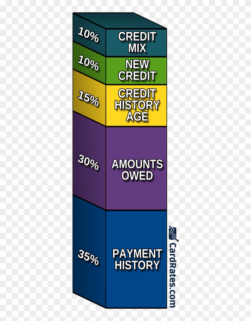 Filling Out An Application For A Credit Card Authorizes - Graphic Design Clipart