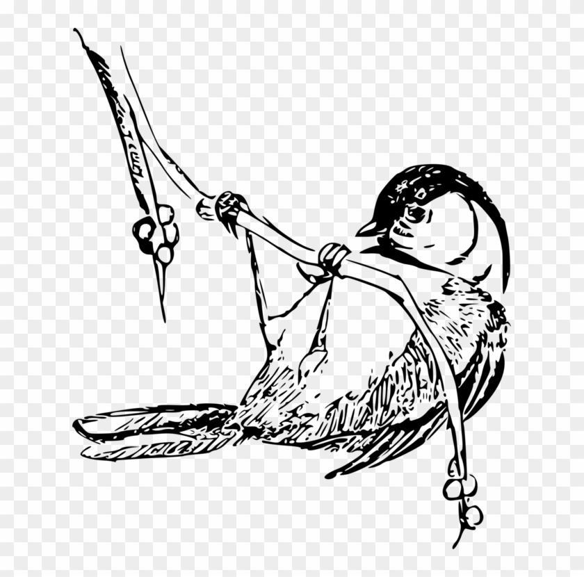 Black-capped Chickadee Drawing Bird Carolina Chickadee - Black Capped Chickadee Drawings Clipart #5222736
