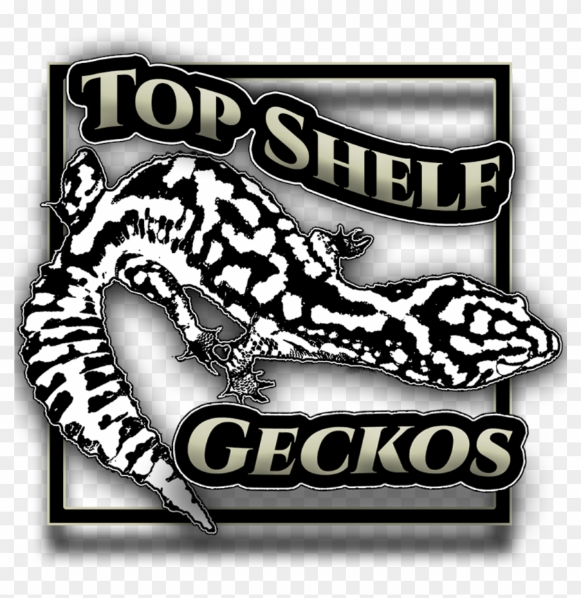 Fat Tail Gecko - Illustration Clipart