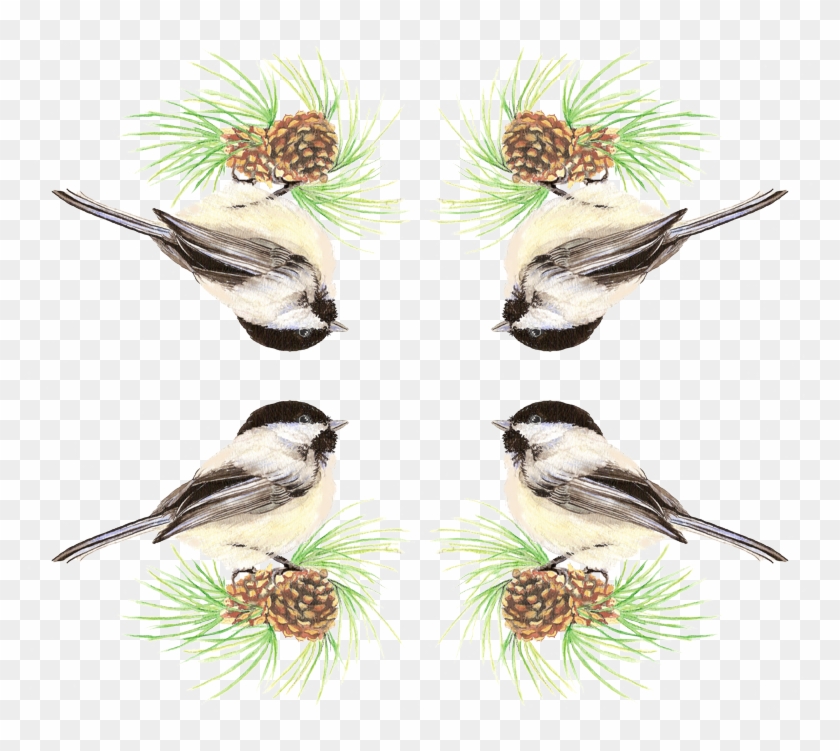 Carolina Chickadee Clipart