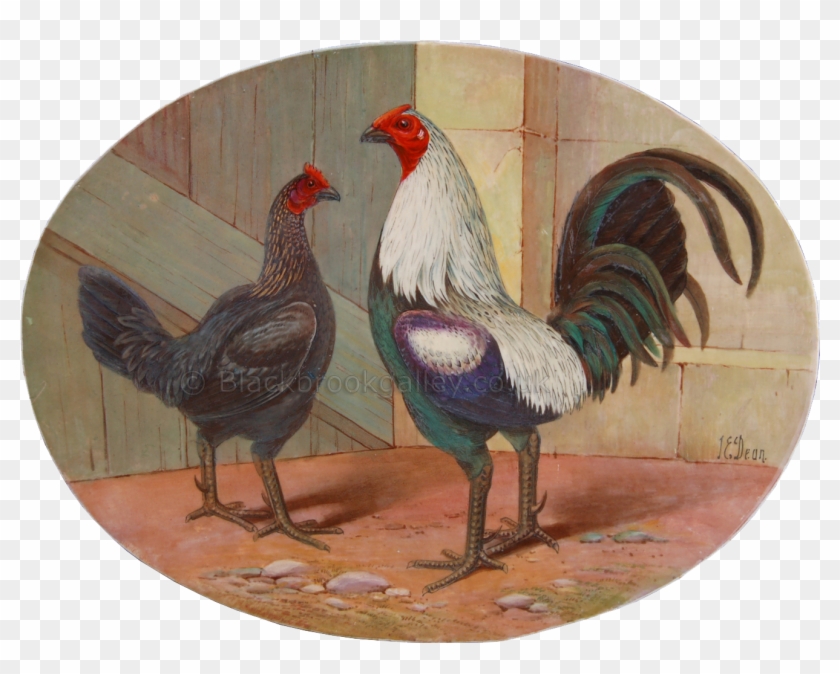 Rooster Clipart #5224240