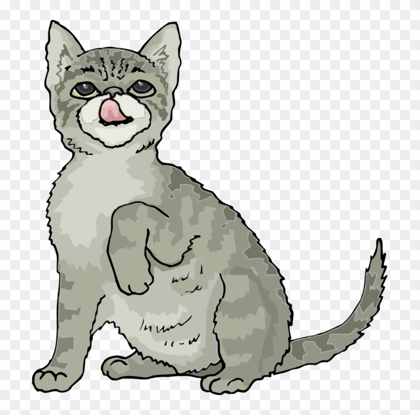 Siamese Cat Thai Cat Kitten Himalayan Cat Russian Blue - Transparent Tortoiseshell Cat Clipart - Png Download