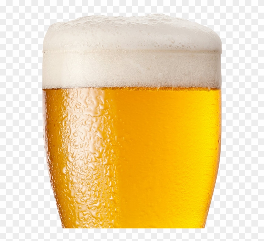 Light Beers - Lager Clipart #5224609