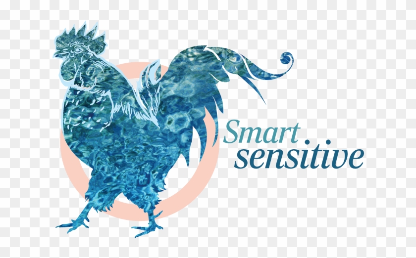 Water Rooster - Graphic Design Clipart #5225317
