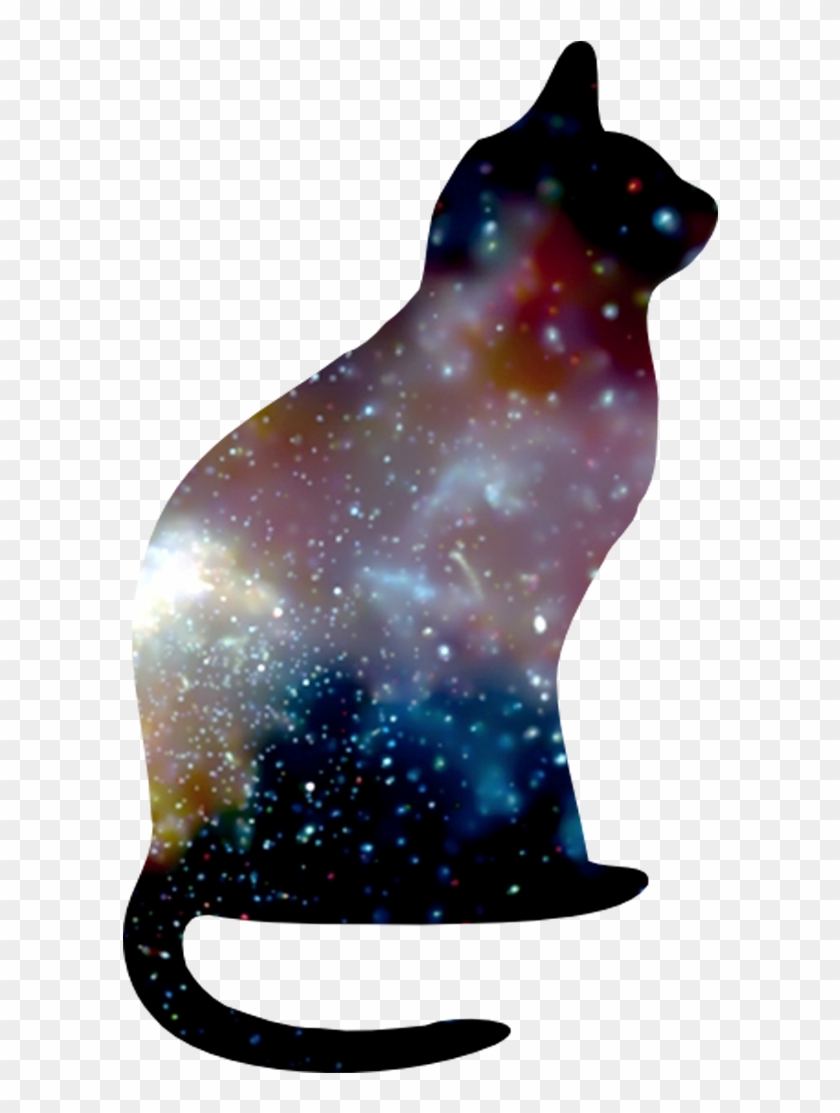 Cat In Space - Cat In Space Png Clipart #5225920