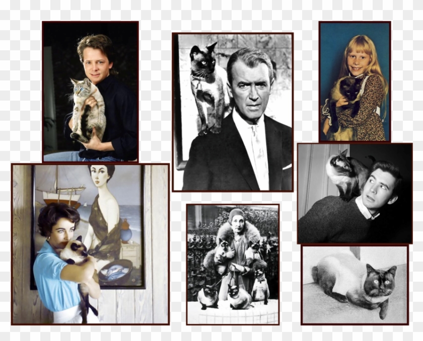 Collage Clipart #5225949