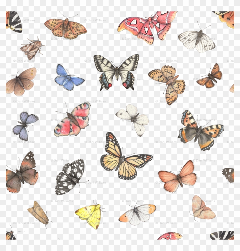 Small Print Wallpaper - Colourful Butterflies Png Clipart