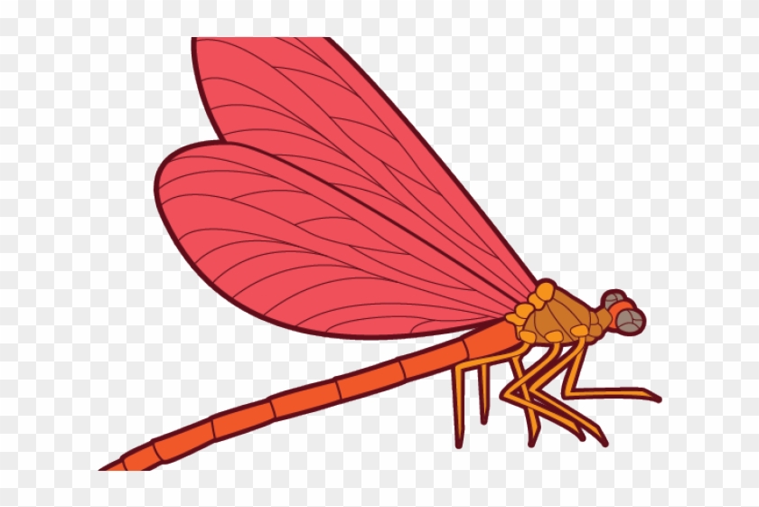 Dragonfly Clipart #5227583