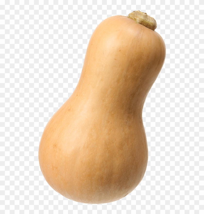Gourd Clipart #5228041