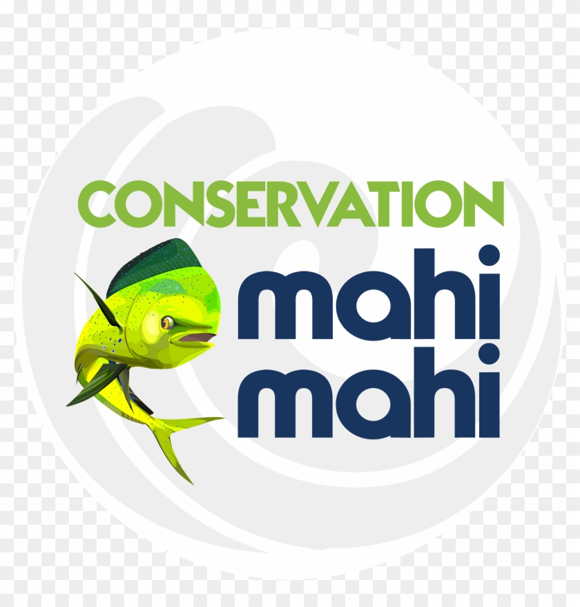 Circle Clipart #5228042