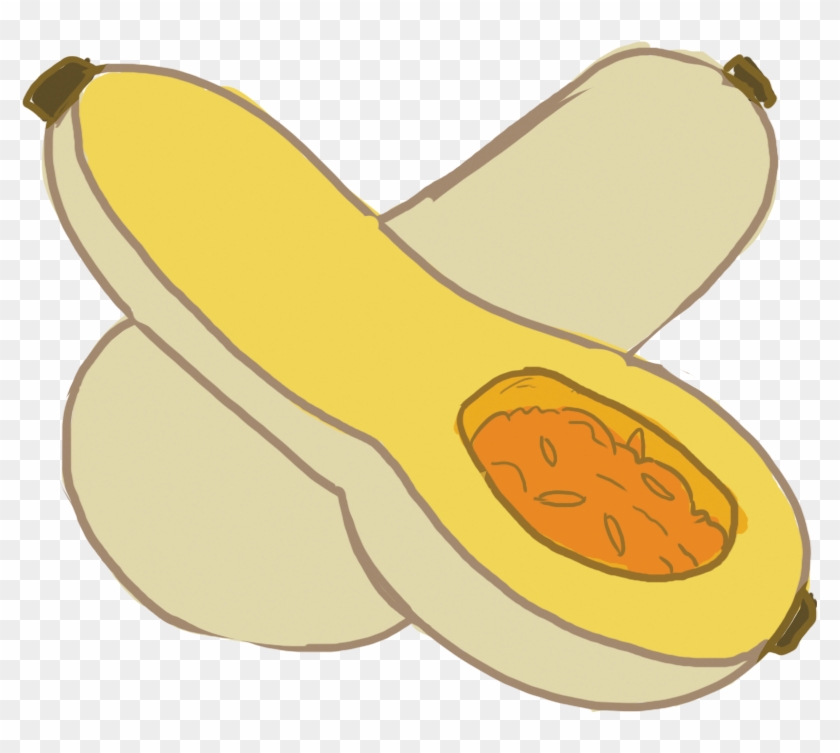 This Is The Squash Everybody Knows - Squash Clip Art - Png Download