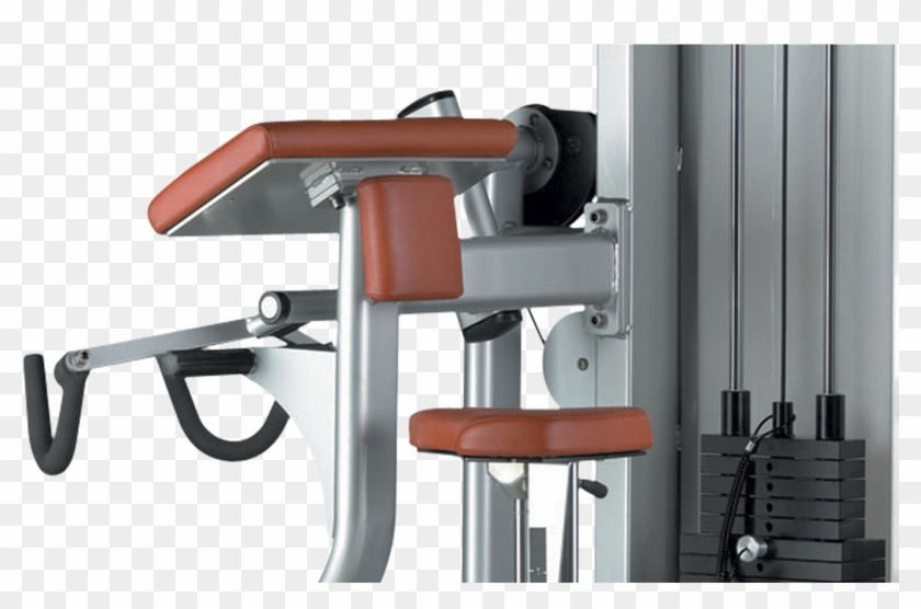 Biceps Curl - Maquina Bh Biceps Triceps Clipart #5229712