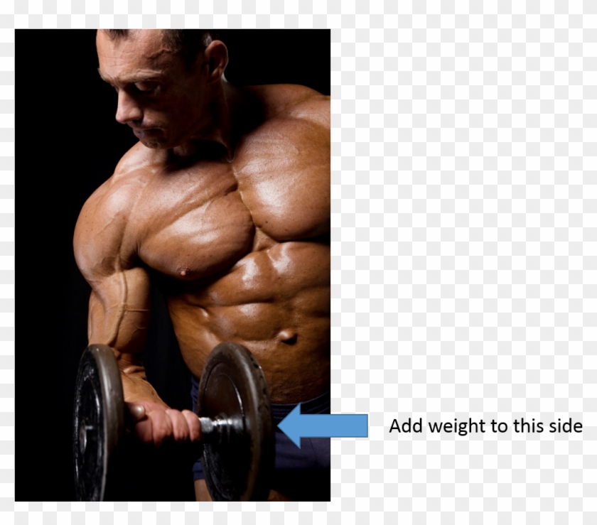 Muscle Building Tricks For Biceps - Bodybuilding Clipart