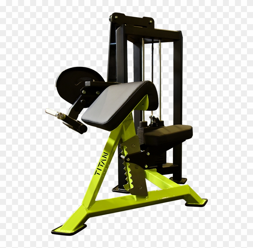 Biceps Curl - Gym Clipart