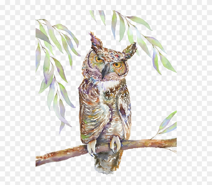 Great Horned Owl By Amy Kirkpatrick - Great Horned Owl Clipart #5230687